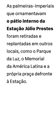As palmeiras imperiais que ornamentavam o p tio interno da Esta o J lio Prestes foram retiradas e replantadas em out...